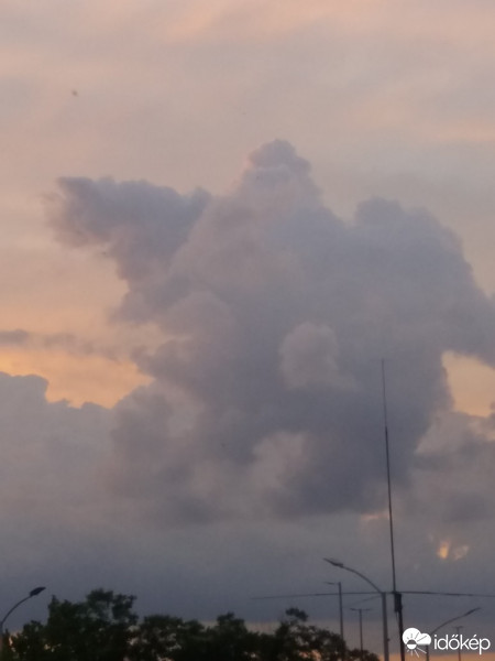 Észlelési fényképek