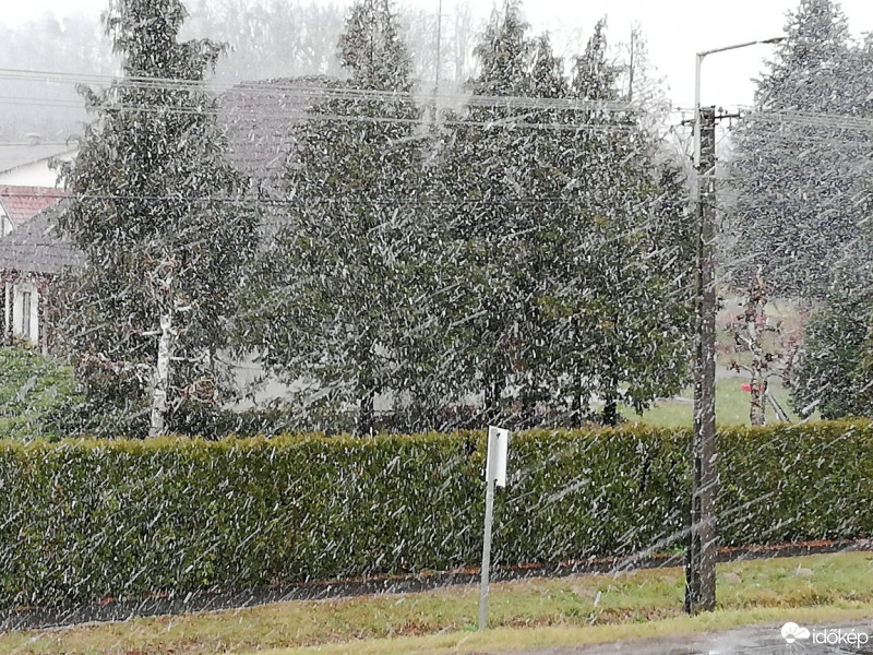 Észlelési fényképek