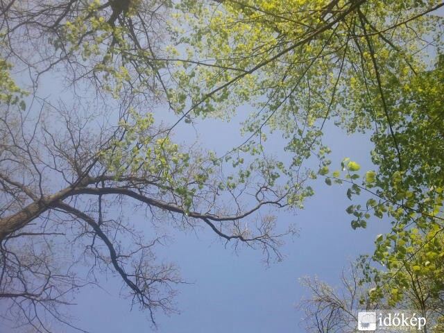 Észlelési fényképek