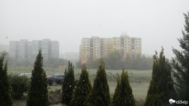 Észlelési fényképek