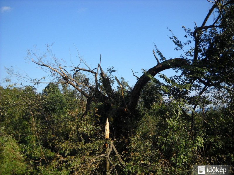 A diósjenői tornádó nyomai
