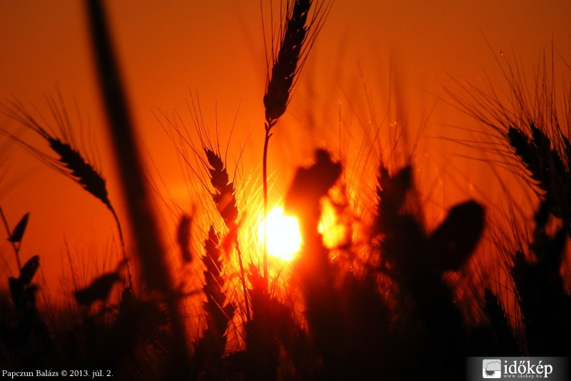 Búzatáblás megoldás :)