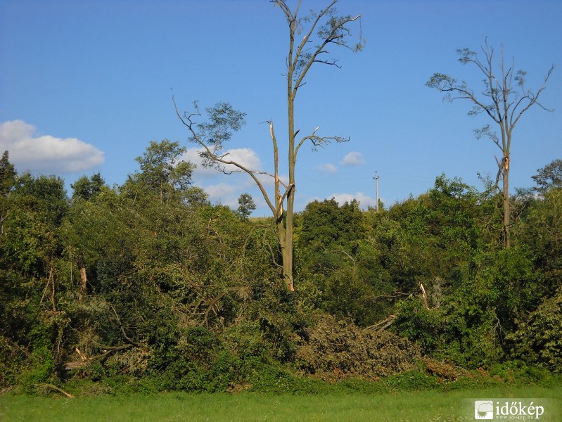 A diósjenői tornádó nyomai