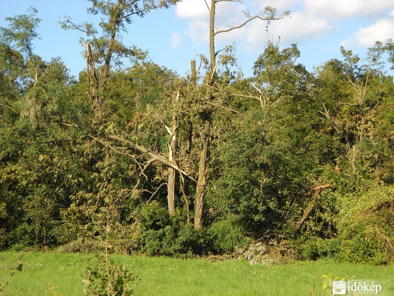 A diósjenői tornádó nyomai