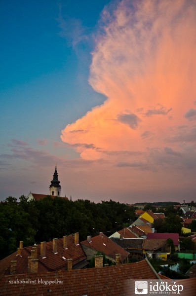 Szegedi nyúl