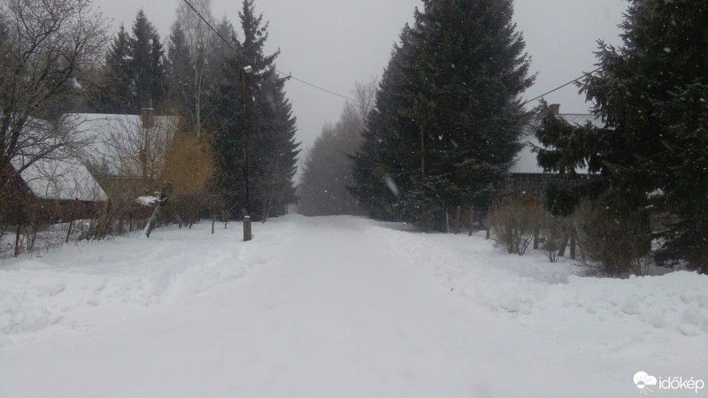 Észlelési fényképek