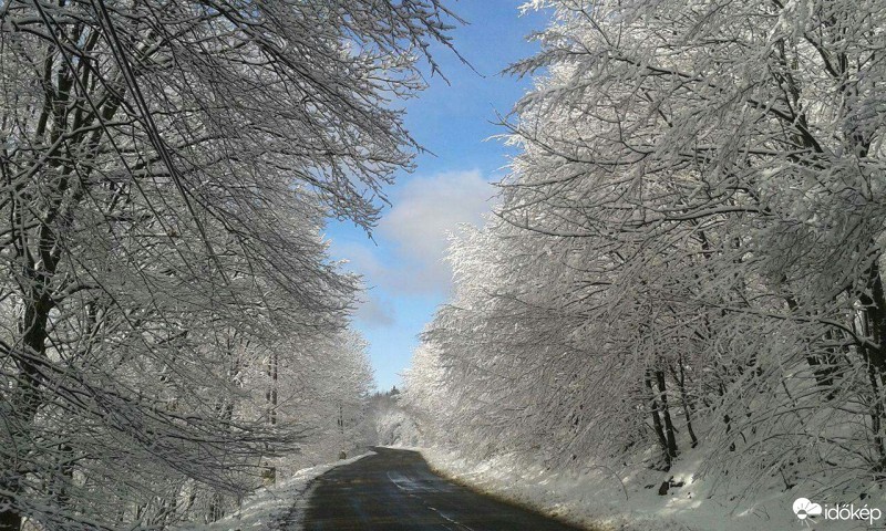 Észlelési fényképek