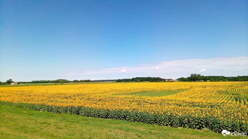 Észlelési fényképek