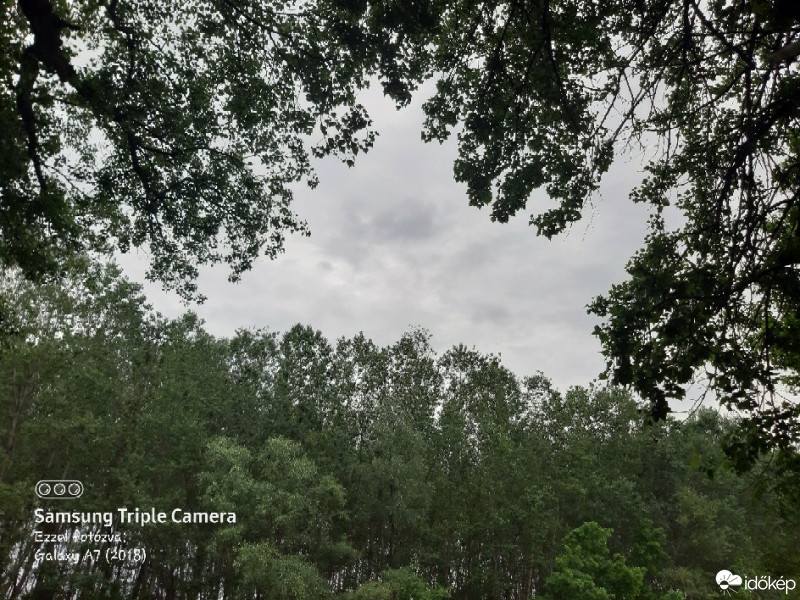 Észlelési fényképek