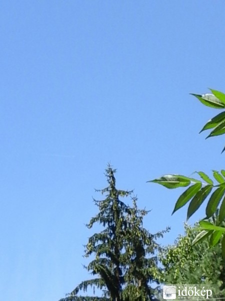 Észlelési fényképek