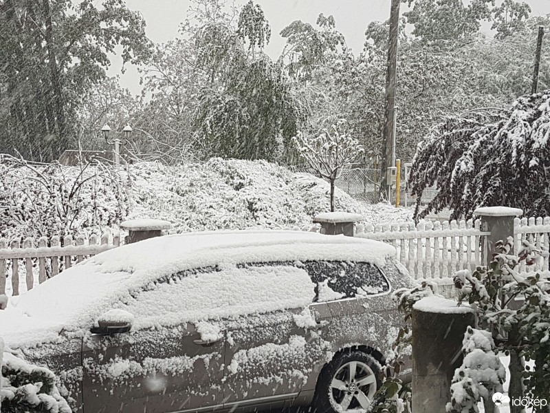 Észlelési fényképek