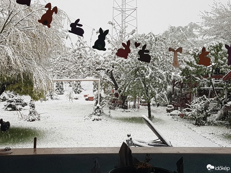 Észlelési fényképek