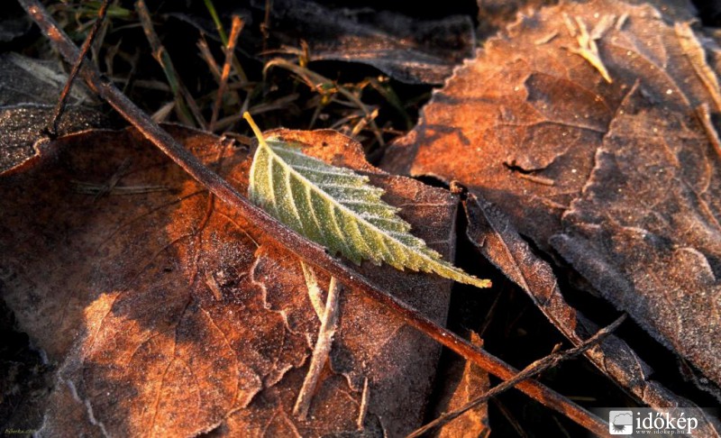 csak lehelletnyit fagyos reggel...