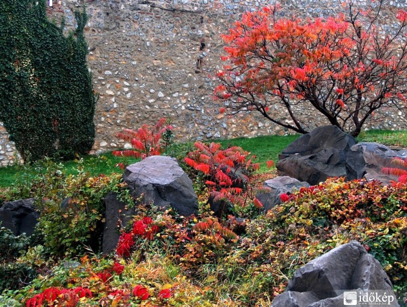 októberi multicolor