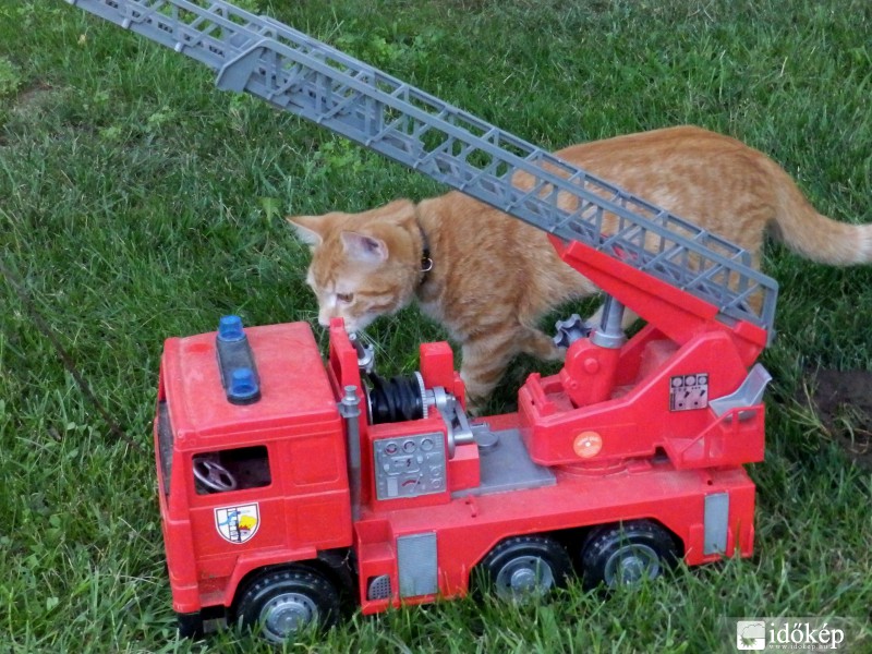 Senki sem szólt, hogy tűz van....... 