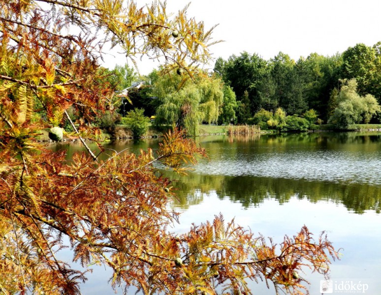 szépséges ősz 