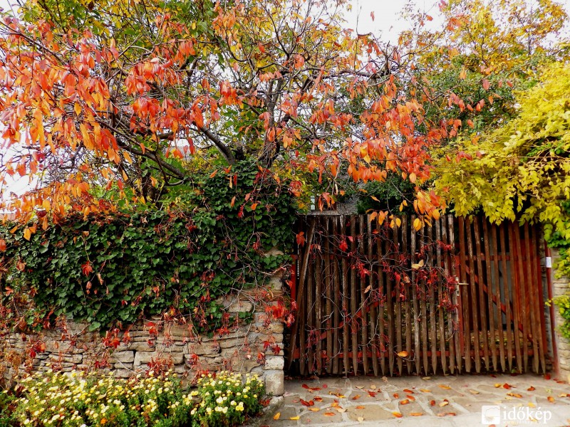 októberi színek..... 
