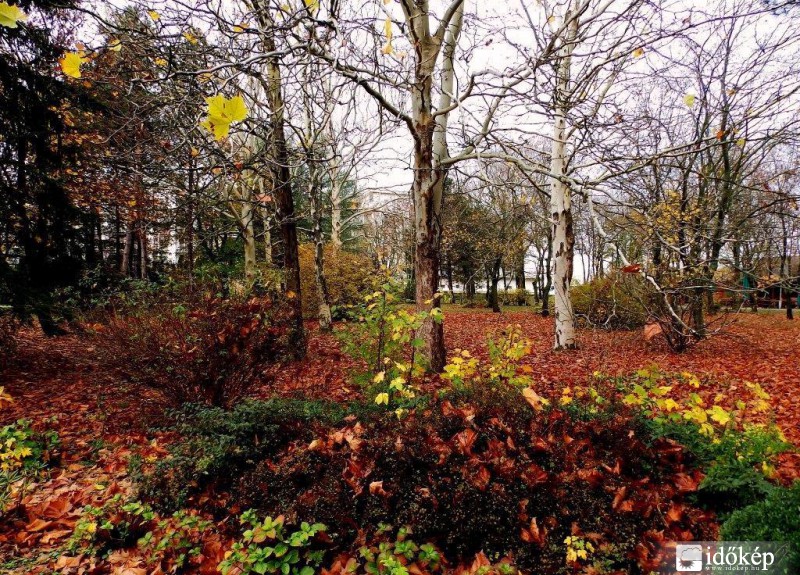hervad már ligetünk, s díszei hullanak...