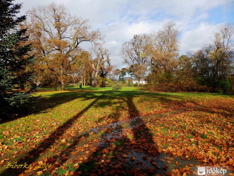 amikor megnyúlnak az árnyékok.... 