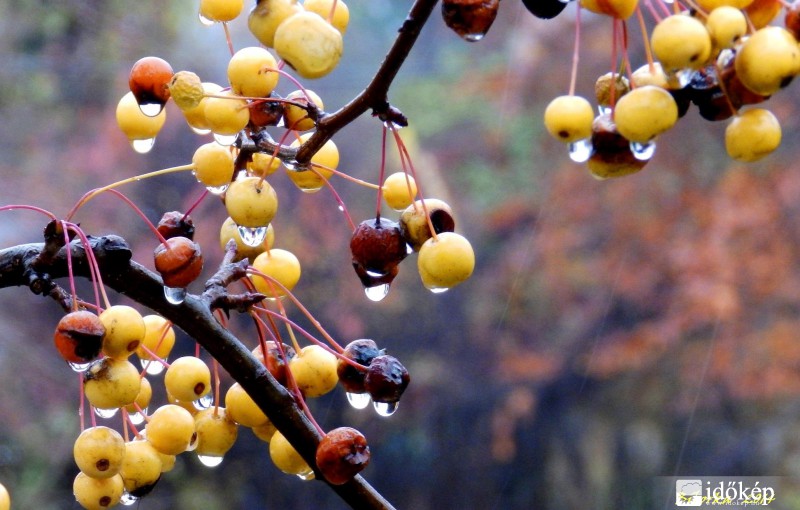 februári esőben 2.