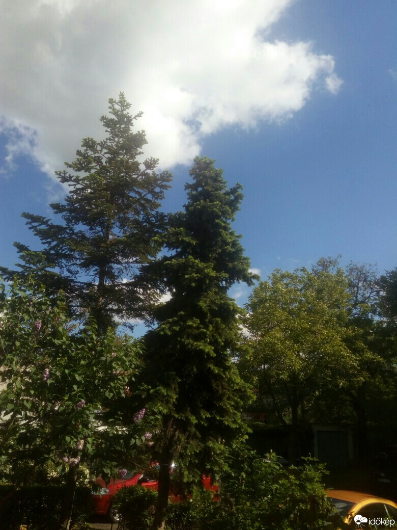 Észlelési fényképek