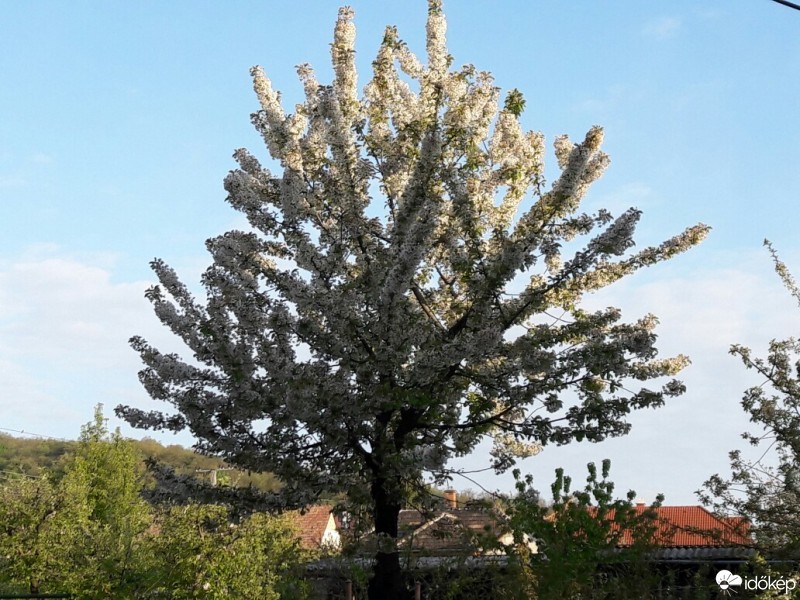 Észlelési fényképek