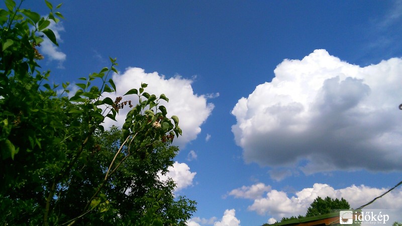 Észlelési fényképek