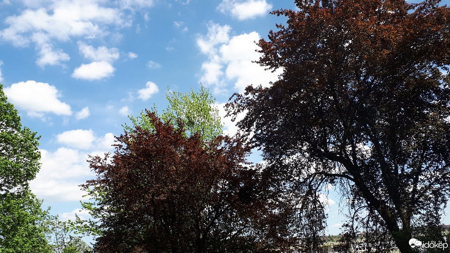 Észlelési fényképek