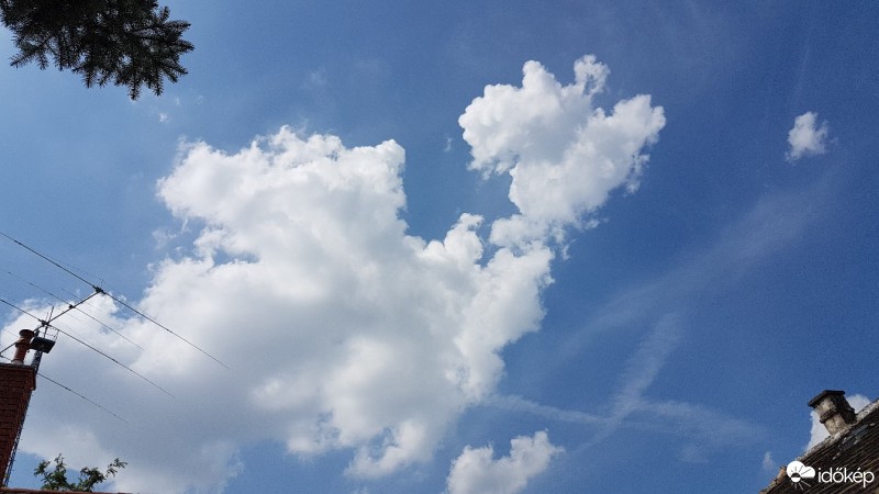 Észlelési fényképek