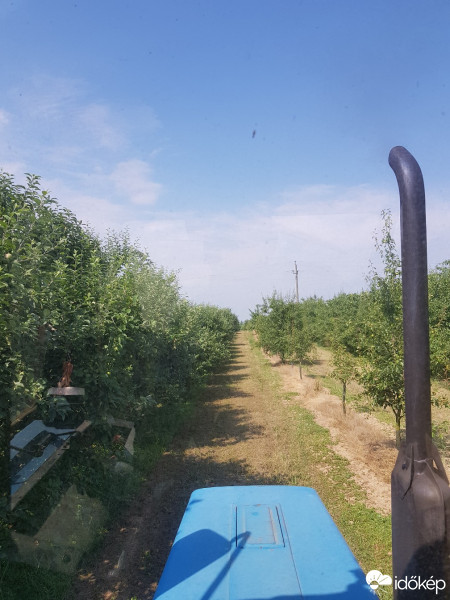 Észlelési fényképek