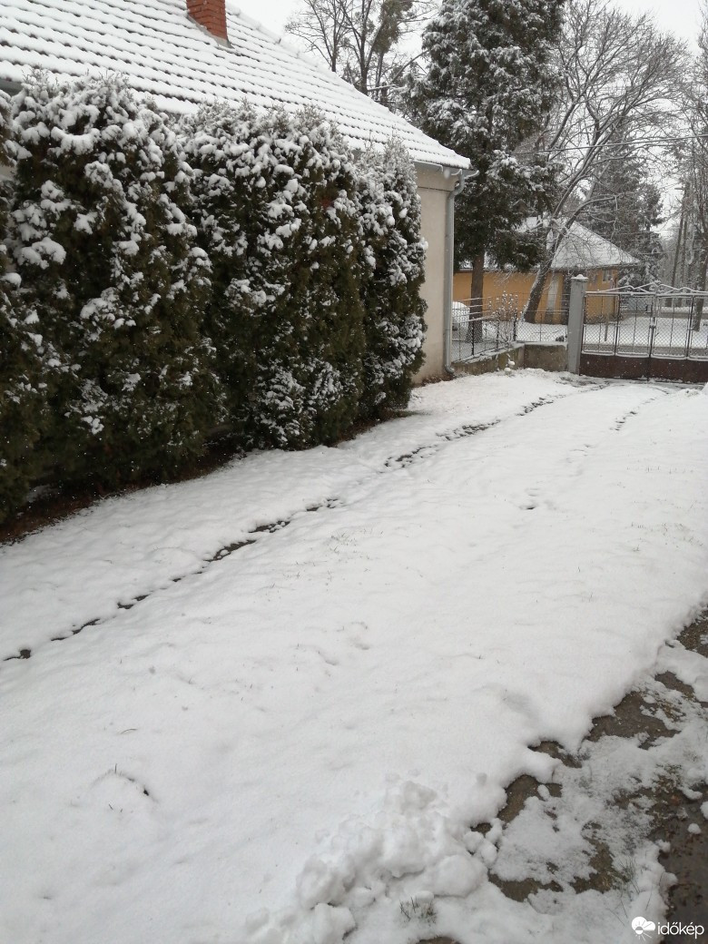 Észlelési fényképek