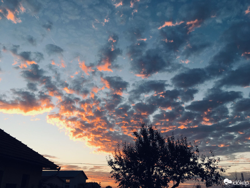 Észlelési fényképek