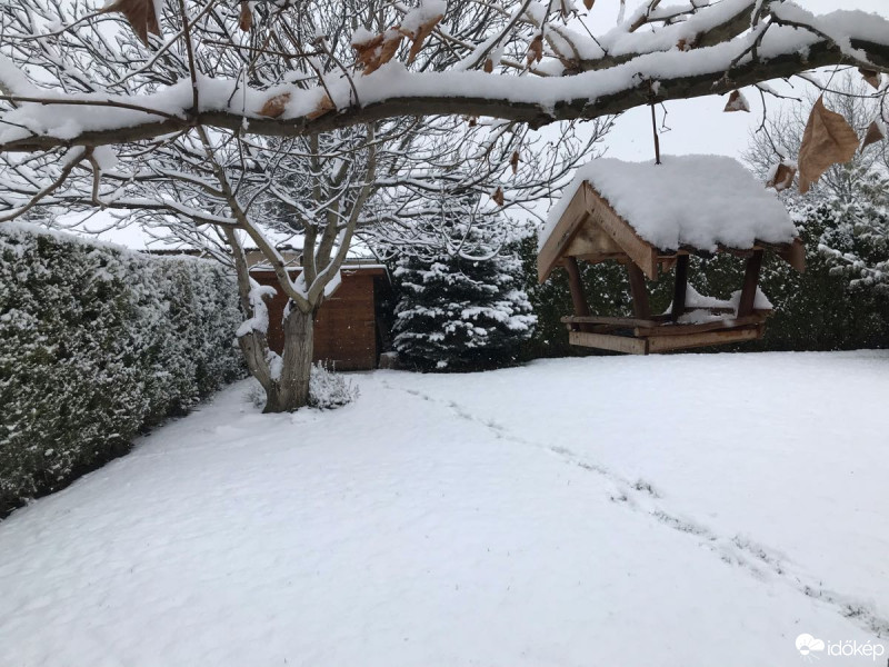 Észlelési fényképek