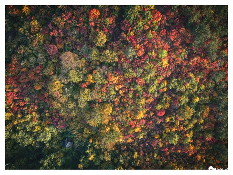 Ősz