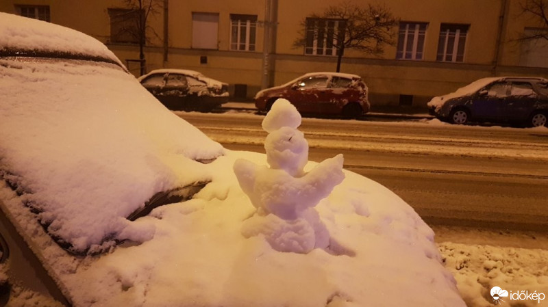 Észlelési fényképek