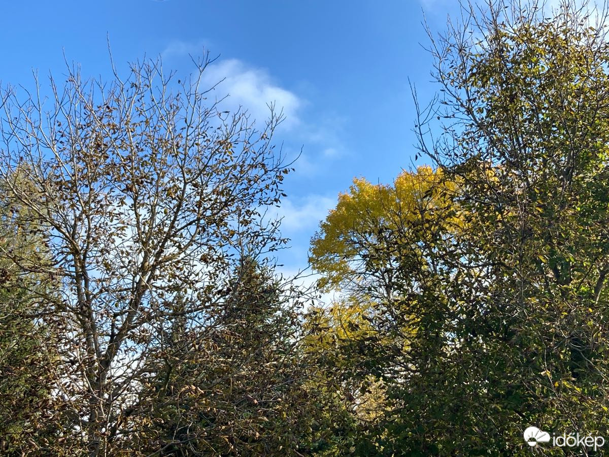 Észlelési fényképek