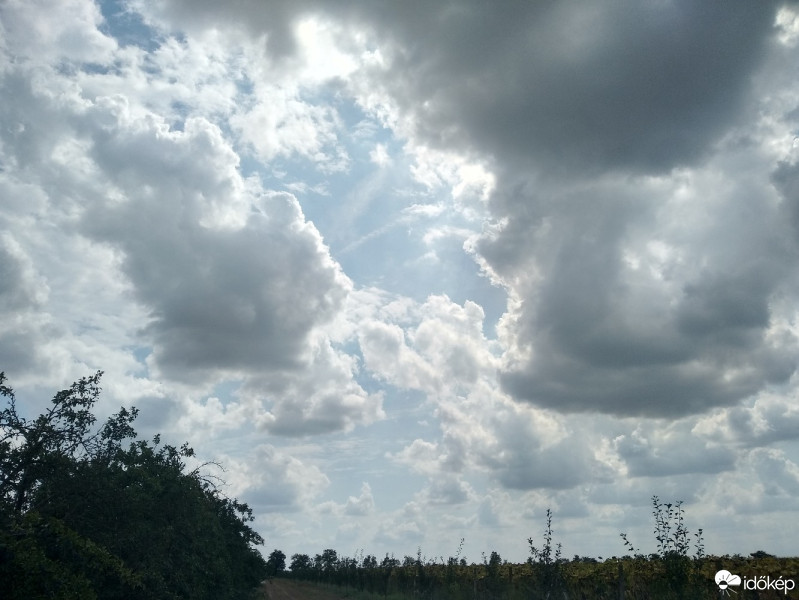 Észlelési fényképek