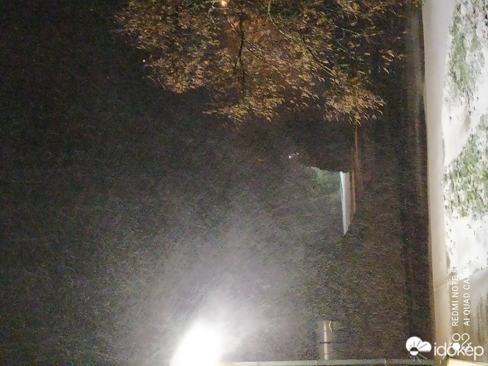 Észlelési fényképek