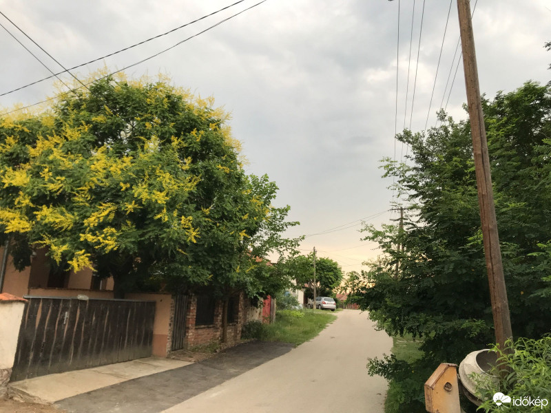 Észlelési fényképek