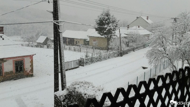 Észlelési fényképek