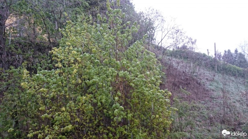 Észlelési fényképek