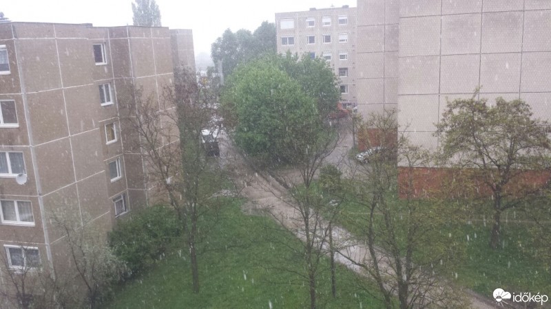 Észlelési fényképek