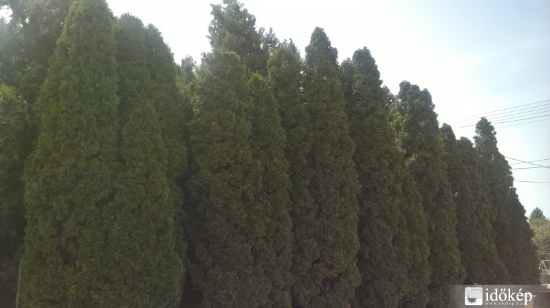 Észlelési fényképek