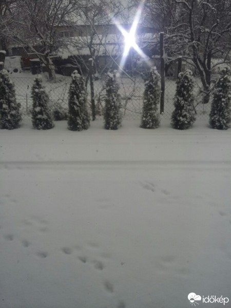 Észlelési fényképek