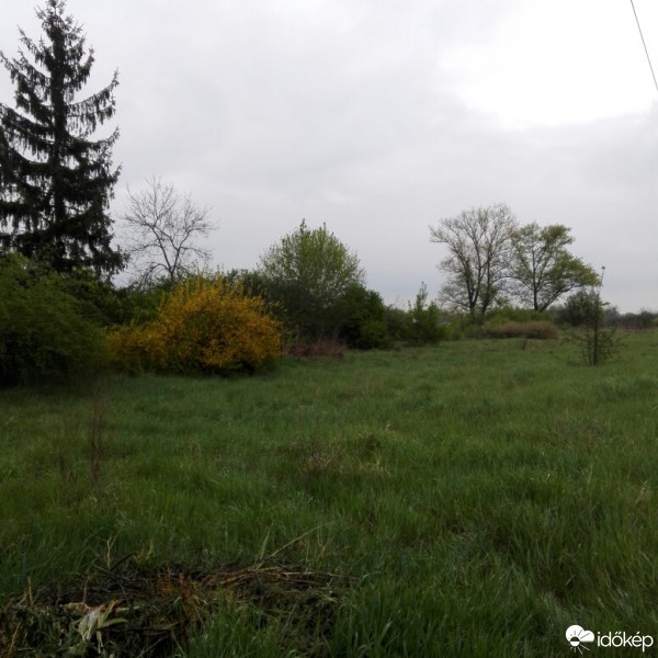 Észlelési fényképek