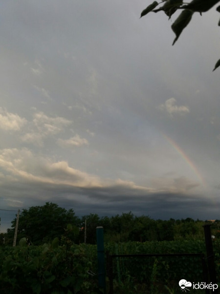 Észlelési fényképek