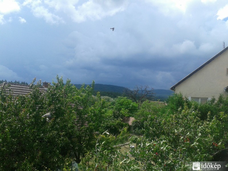 Észlelési fényképek