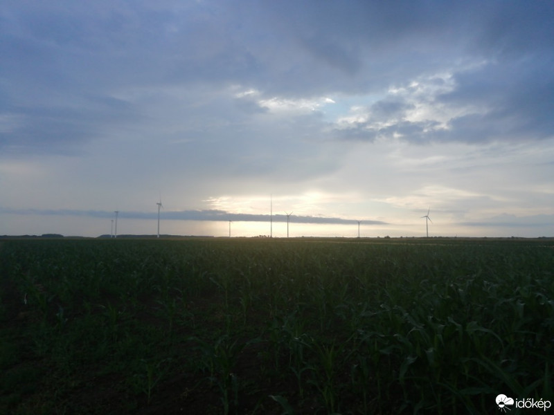 Észlelési fényképek