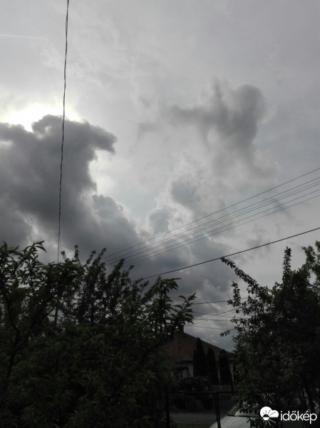 Észlelési fényképek