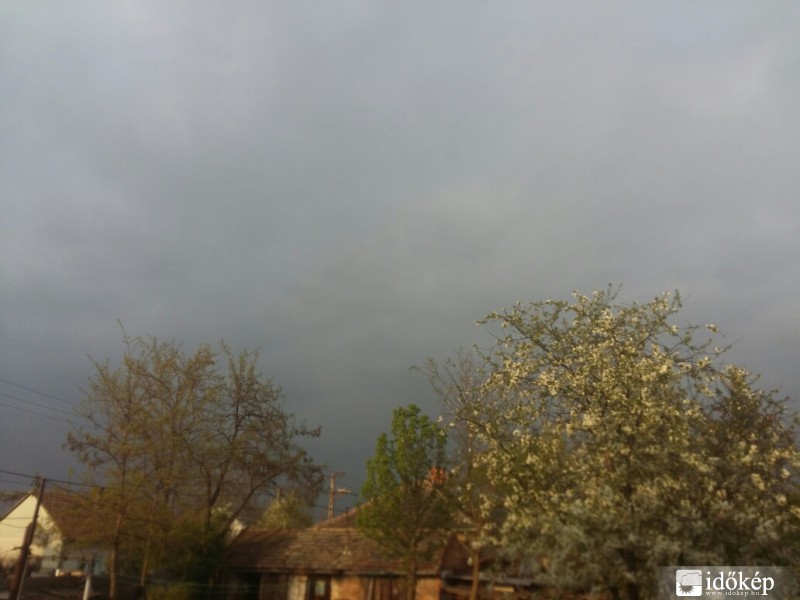 Észlelési fényképek